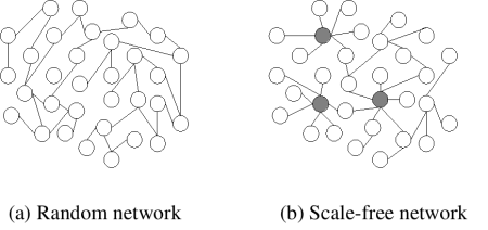 scale-free_network_sample